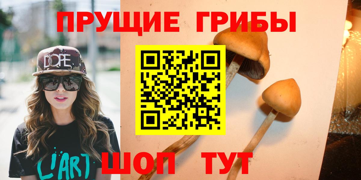 Псилоцибиновые грибы Cubensis  Вход с VPN  Архангельск  Псилоцибиновые грибы Magic Shrooms 